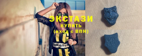 стаф Гусь-Хрустальный