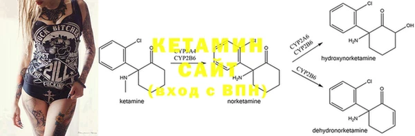 PSILOCYBIN Вязники