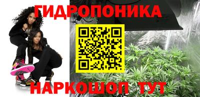 прущие грибы Берёзовский