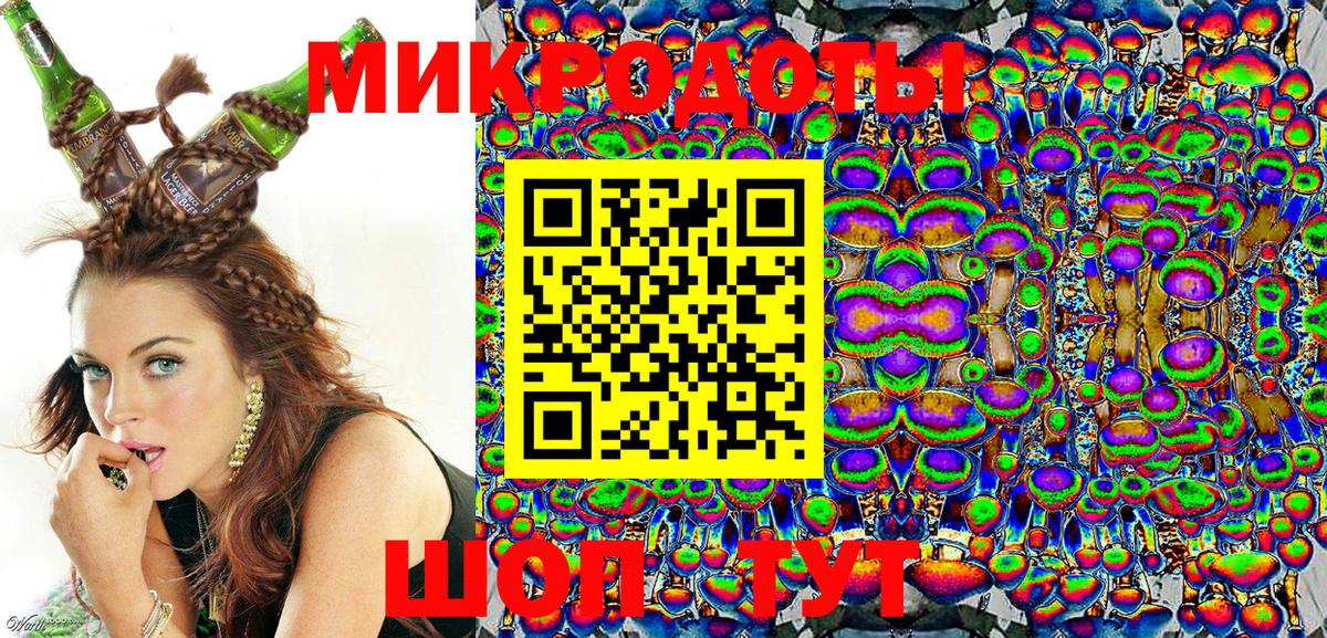 Псилоцибиновые грибы Psilocybe  Псилоцибиновые грибы Psilocybe  Глазов 