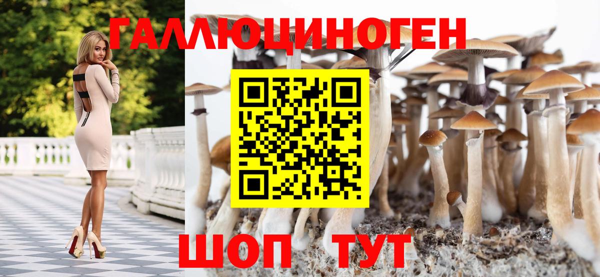 Псилоцибиновые грибы Cubensis Глазов