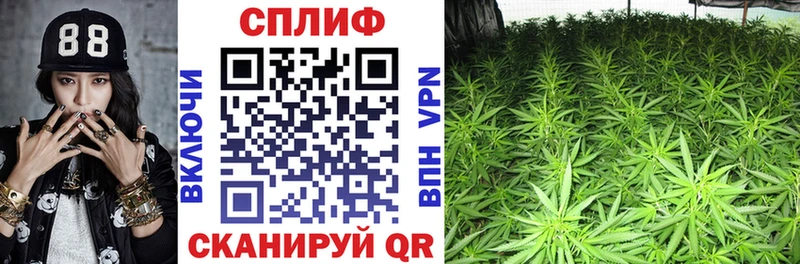 Каннабис Bruce Banner  наркошоп  ОМГ ОМГ вход  Глазов 